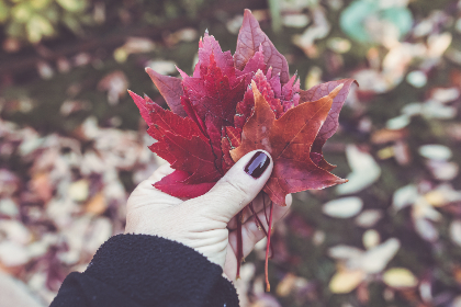 午夜剧场在线播放bt免费 午夜剧场在线播放bt免费