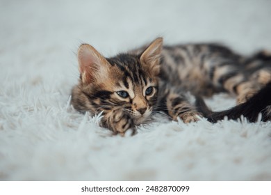 166 run黑料不打烊 166 run黑料不打烊